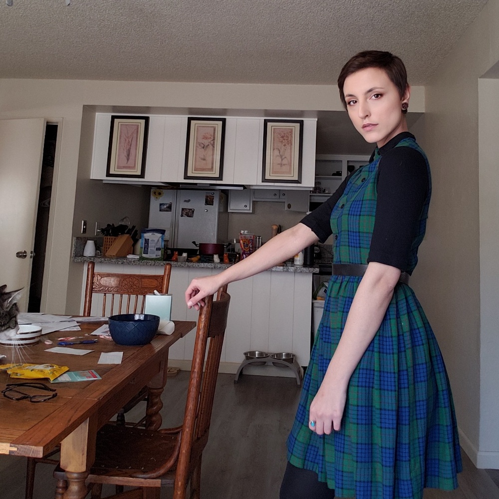 Vintage plaid collared dress